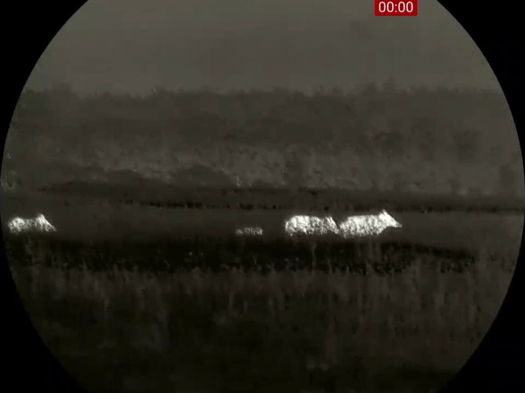 Soweczka Arek Szymura - Private Nature Tours-Bialowieza必去景点