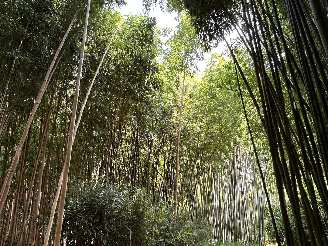 Le Jardin de Planbuisson-Le Buisson-de-Cadouin必去景点
