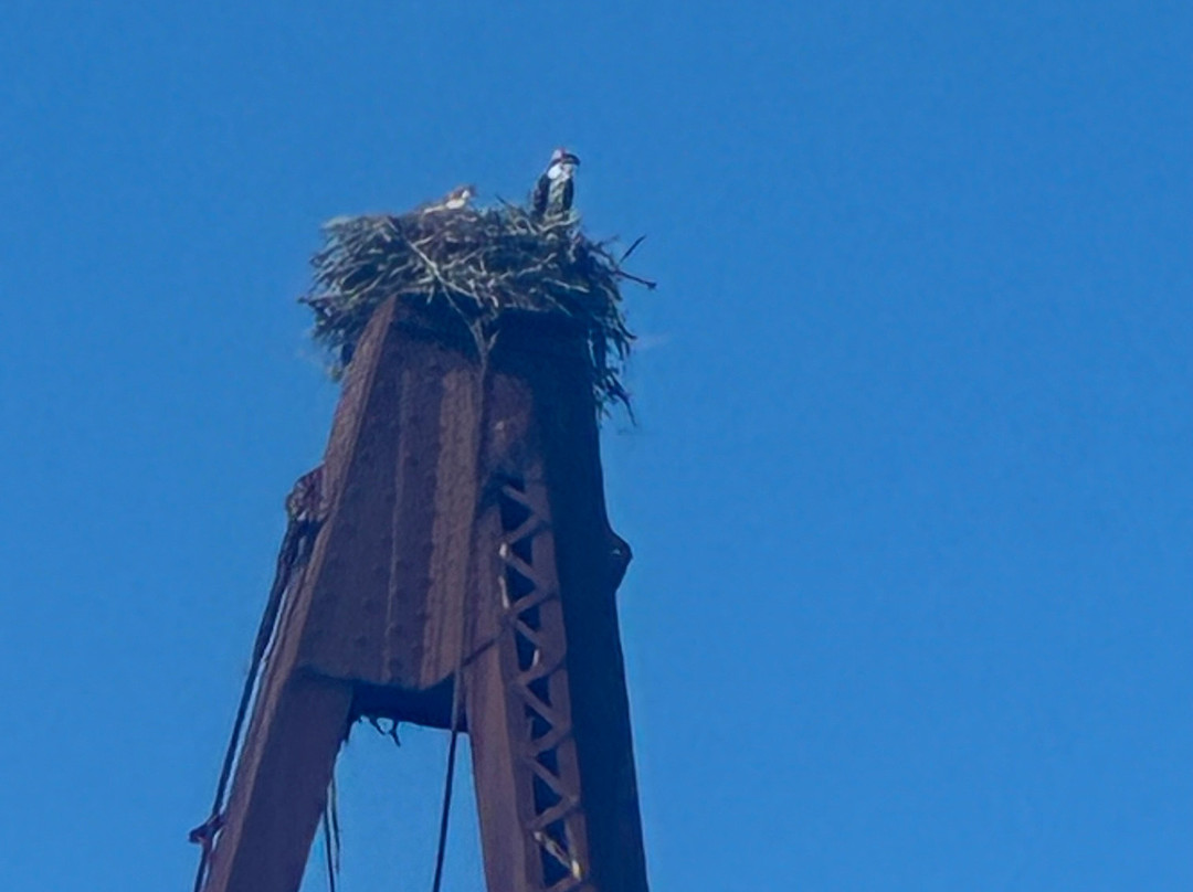 Osprey's Echo Sea Kayaking-Stonington必去景点