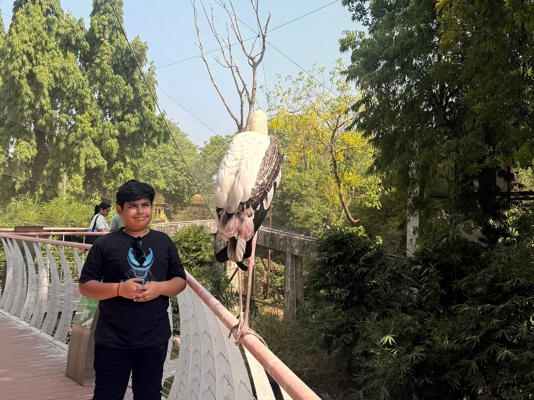 Sayaji Baug Zoo-瓦都达拉必去景点