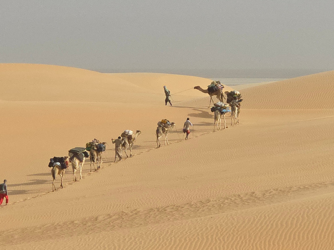 Detours Mauritanie Voyages