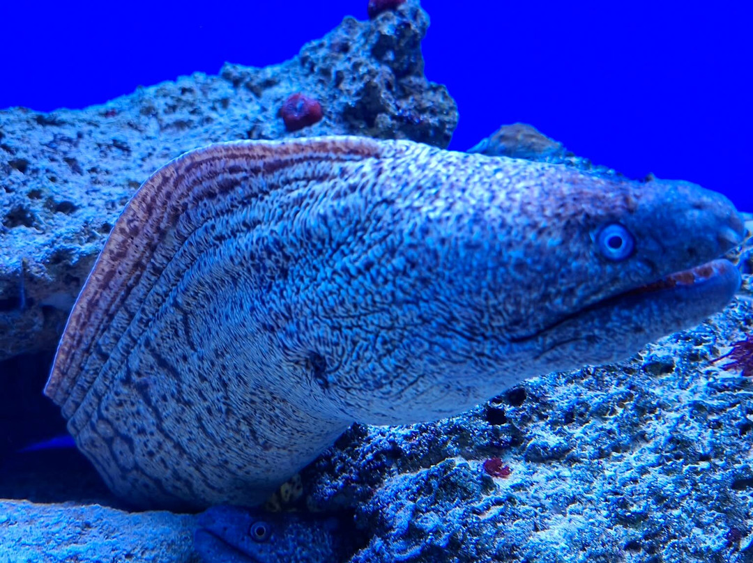 Acquario Del Salento-Santa Maria al Bagno必去景点