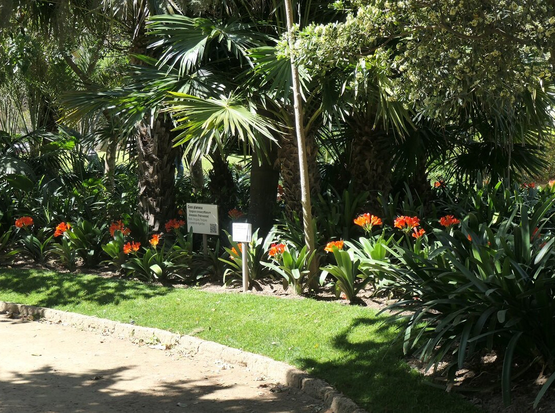 Parque Genovés-加的斯市必去景点