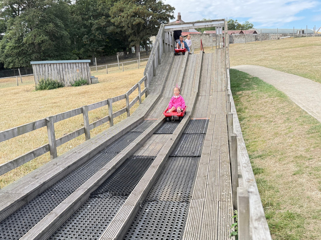 Playdale Farm Park-斯卡伯勒必去景点