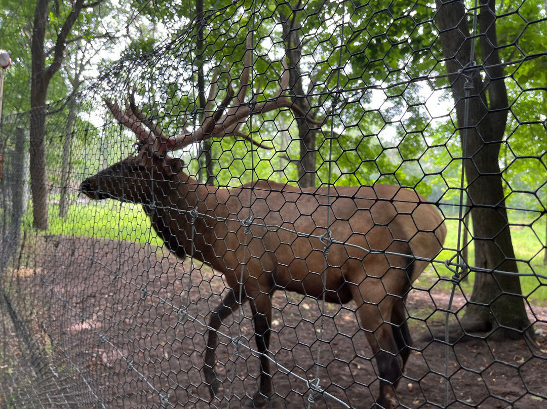 Shalom Wildlife Zoo-West Bend必去景点