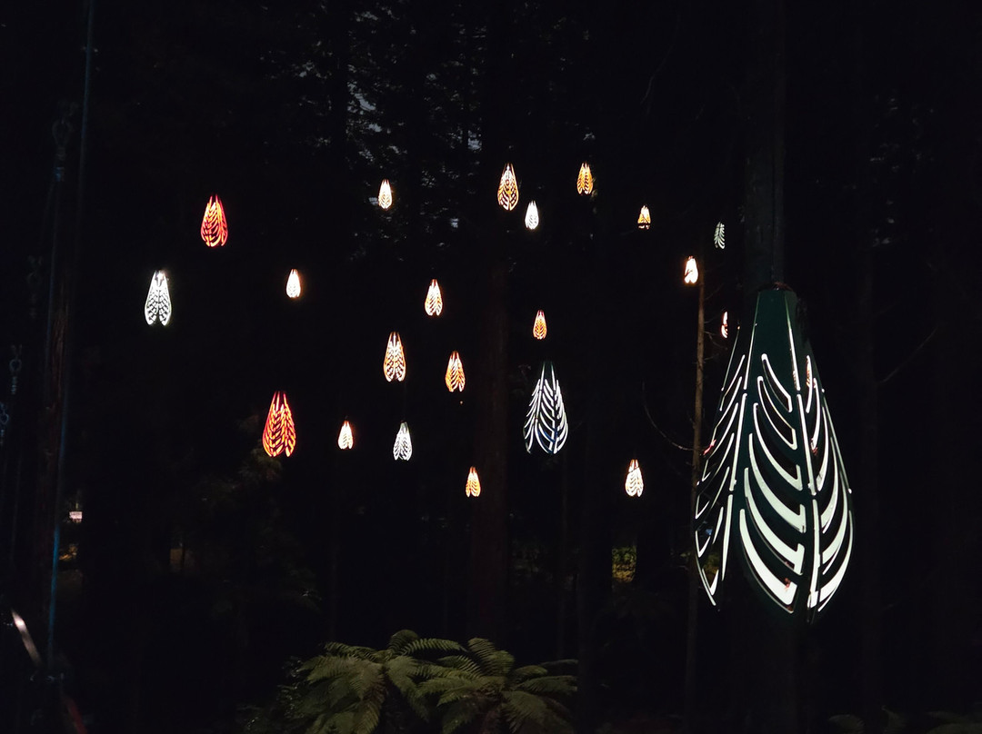 Redwoods Treewalk-罗托鲁瓦必去景点