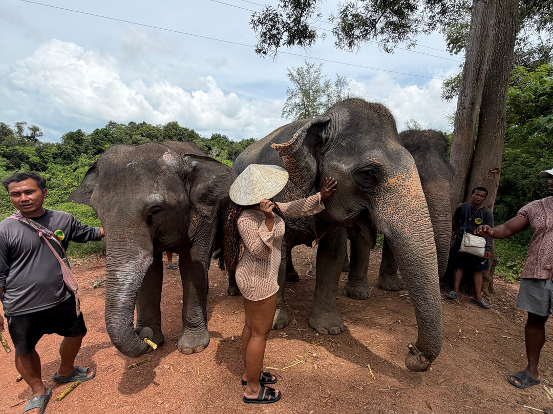 The Lake Phuket Elephant Home-Thep Krasatti必去景点