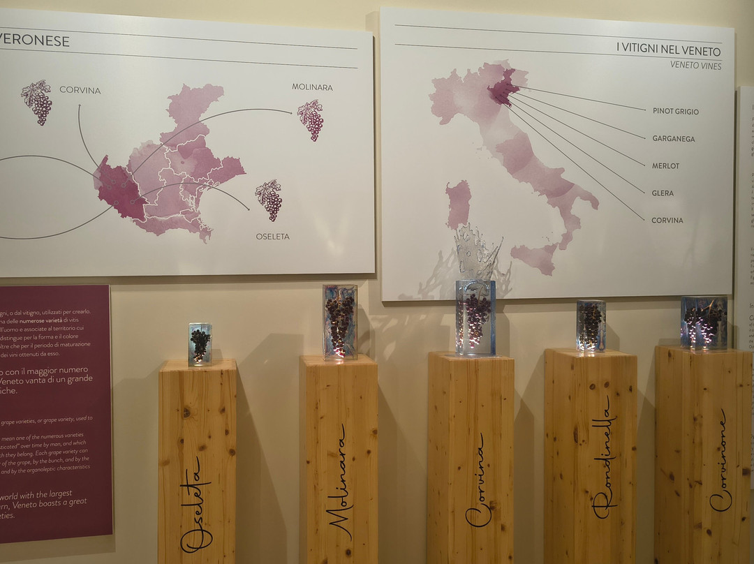Cantine Giacomo Montresor-维罗纳必去景点