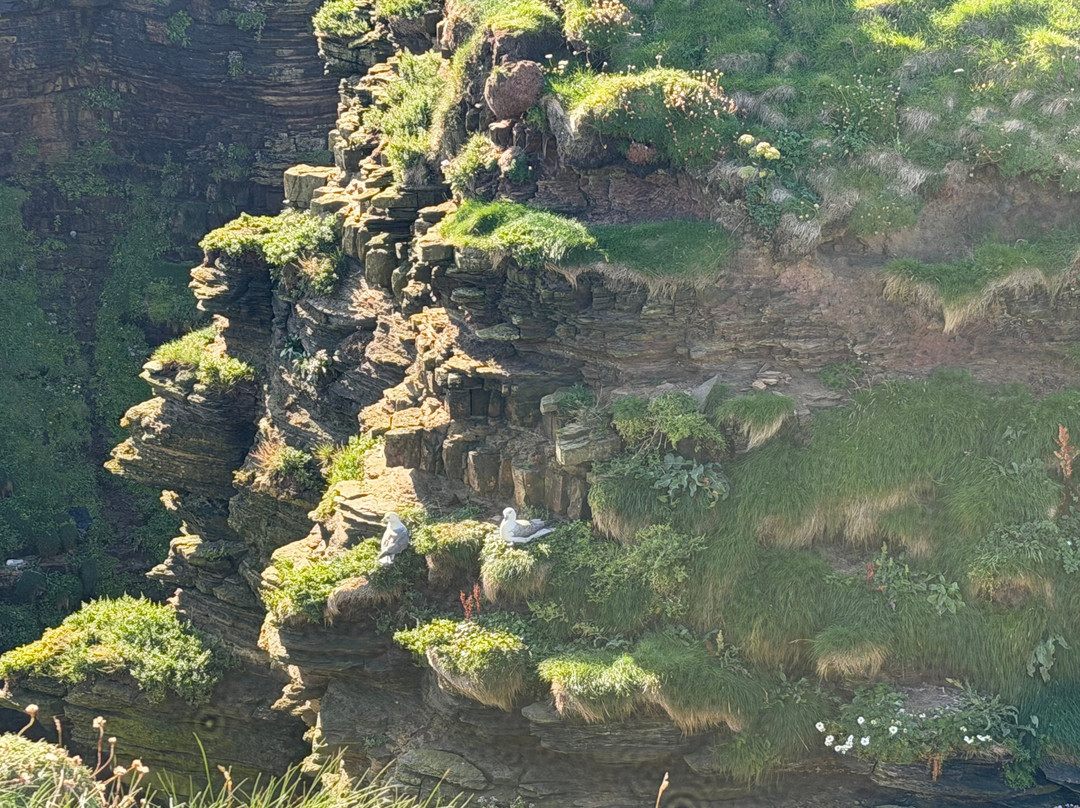 Duncansby Head-John O'Groats必去景点