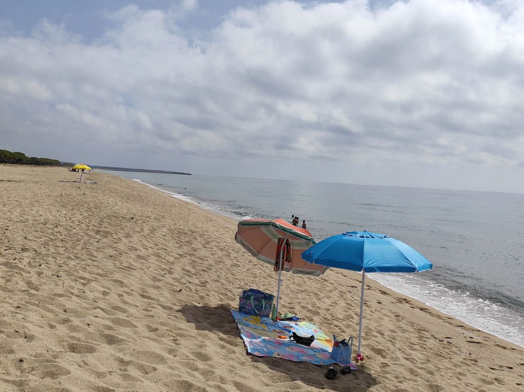 Spiaggia di Su Barone-奥罗塞必去景点