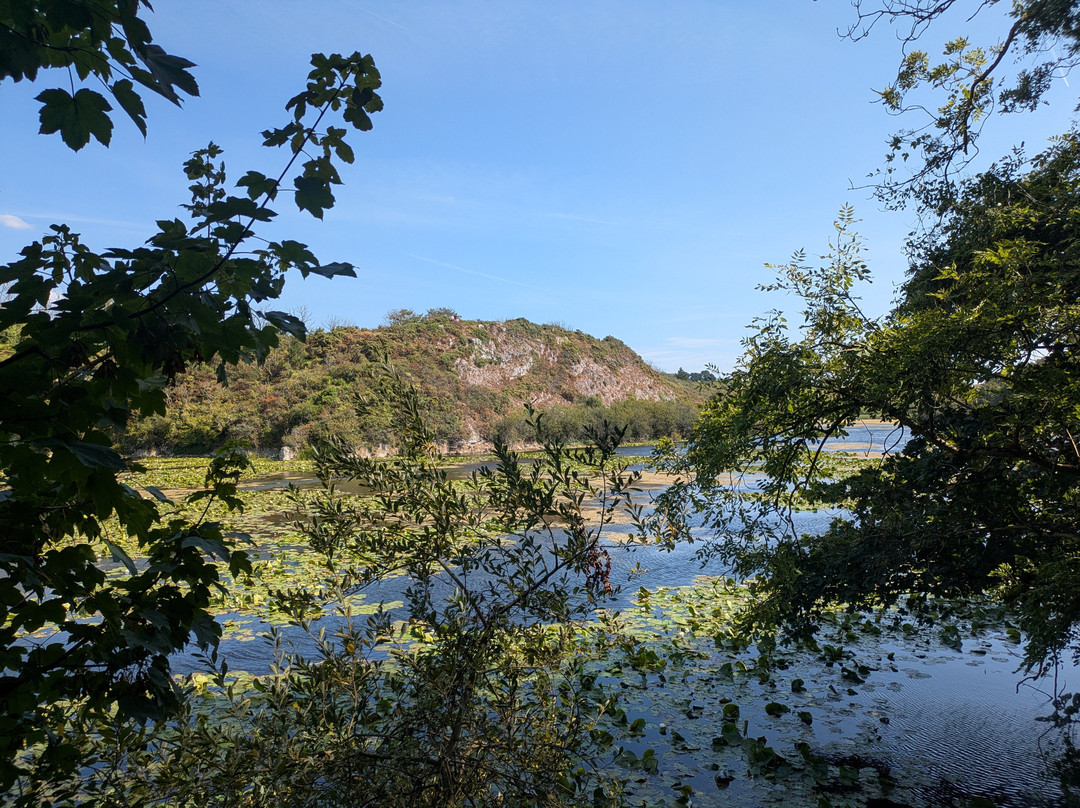 Lily Ponds-Bosherston必去景点