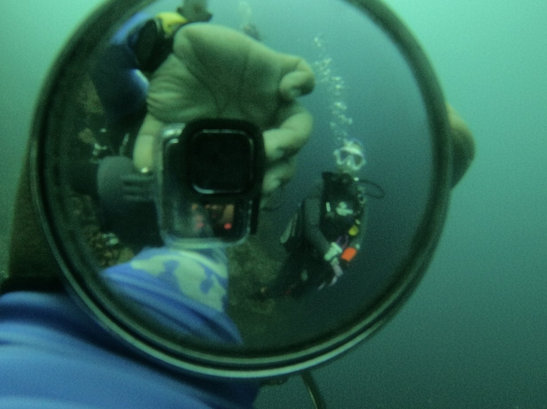 Haka Dive Center-Panglao必去景点