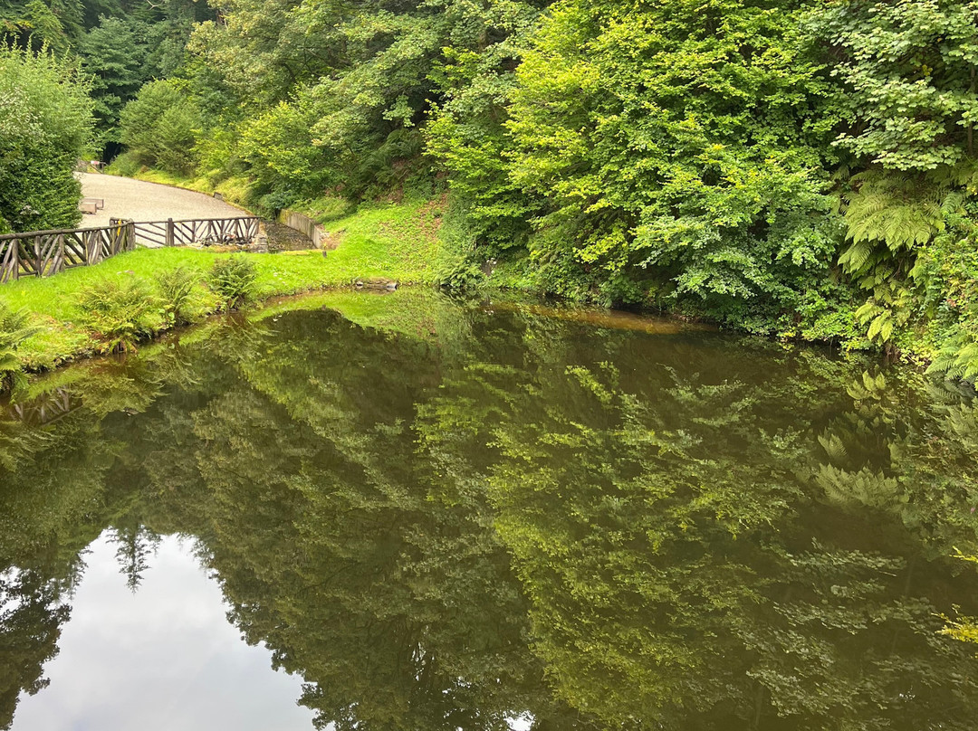 Glengoyne Distillery-Killearn必去景点