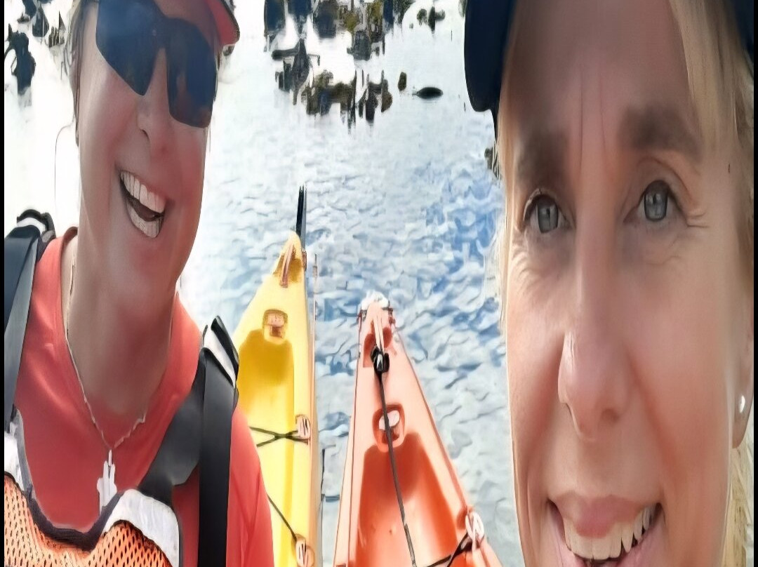 Paddle Experience: Kayak in Cape Town-西门镇必去景点
