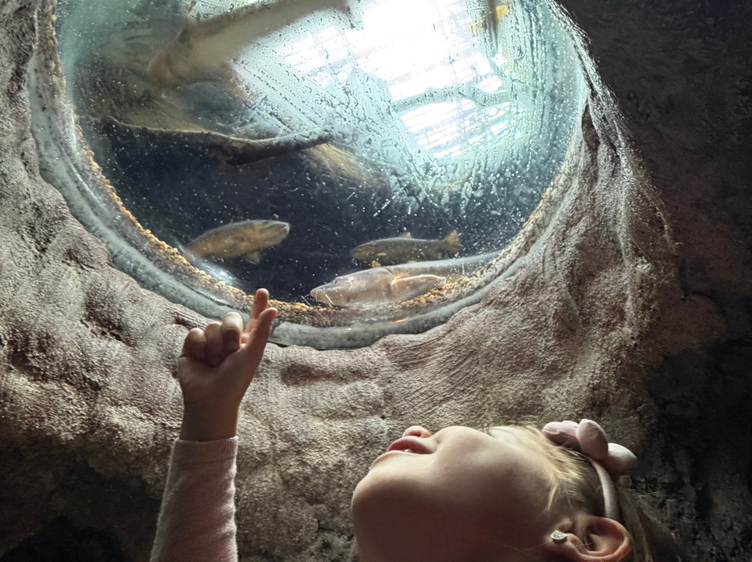Bioparc Acuario De Gijón-希洪必去景点