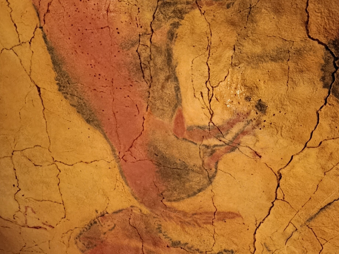 Museo de Altamira-海边的散提亚拿必去景点