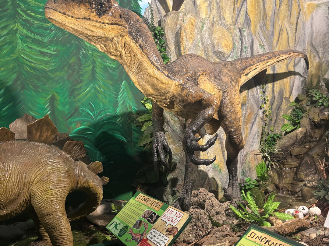 Torquays Dinosaur World-托基必去景点