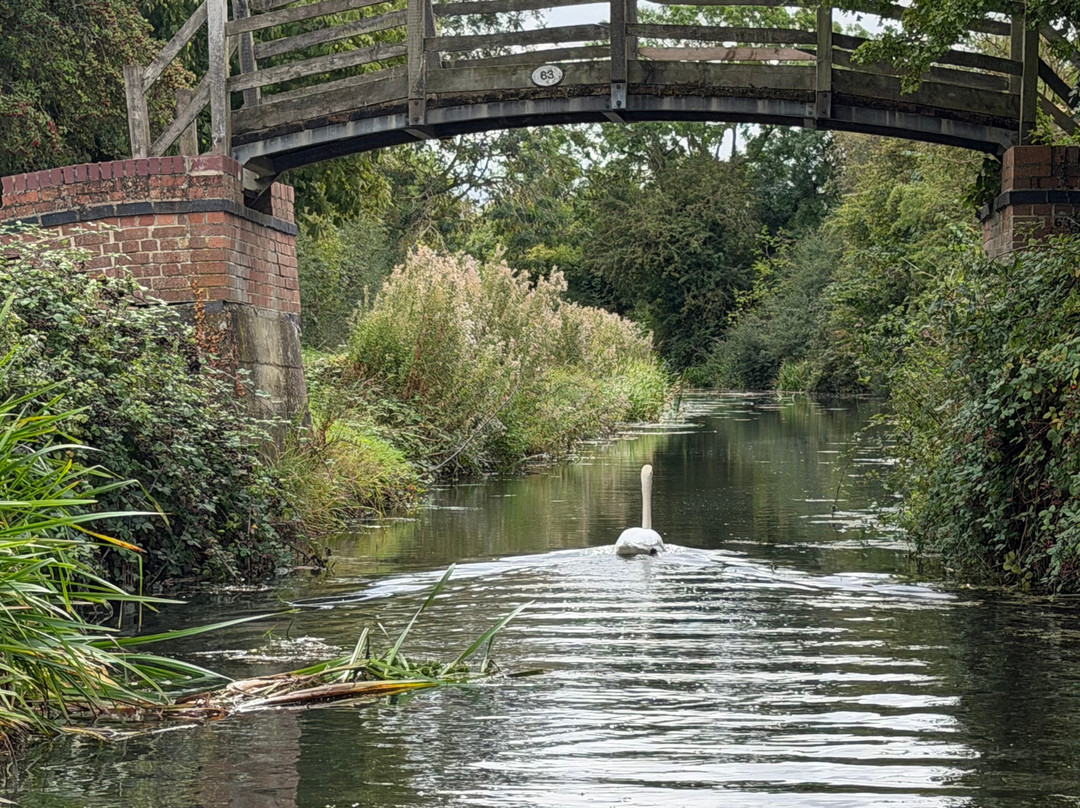 Grantham Canal Three Shires Boat Trips-Woolsthorpe by Belvoir必去景点