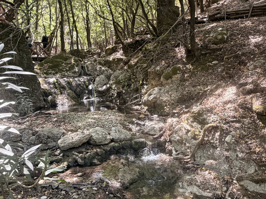 The Valley of the Butterflies-Psinthos必去景点