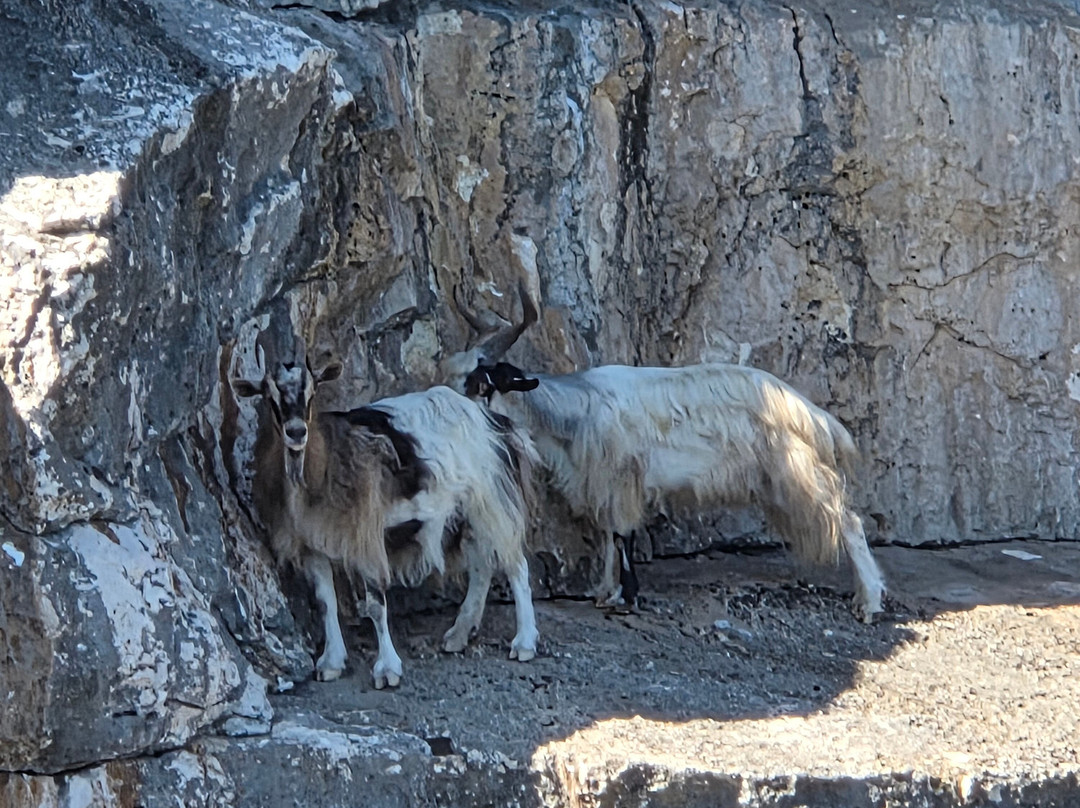Karmar noleggio gommoni-Marina di Orosei必去景点