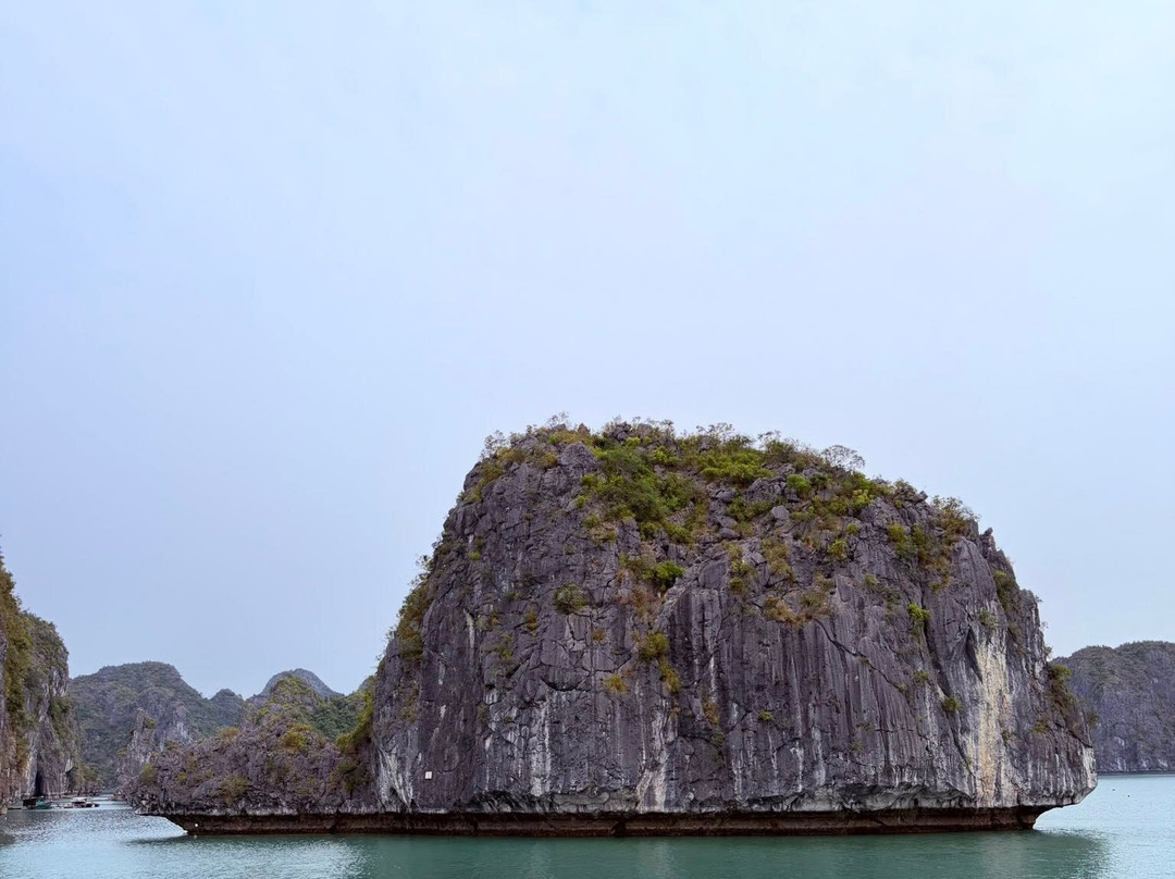 Hoa Cuong Cave-Gia Luan必去景点