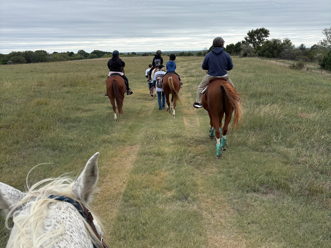 Christine's Horseback Riding-卡尼必去景点
