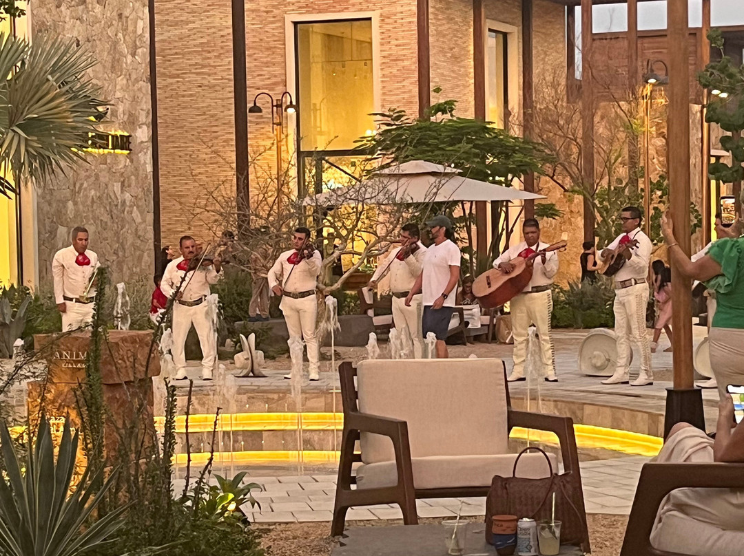 Ánima Village-卡波圣卢卡斯必去景点