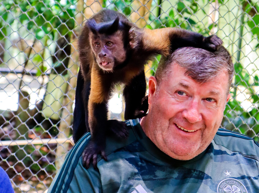 Akumal Monkey Sanctuary & Rescued Animals-艾库玛尔必去景点