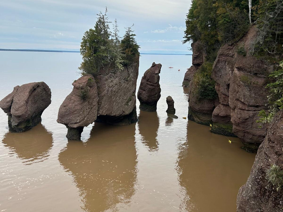 Hopewell Rocks-霍伯威尔角必去景点