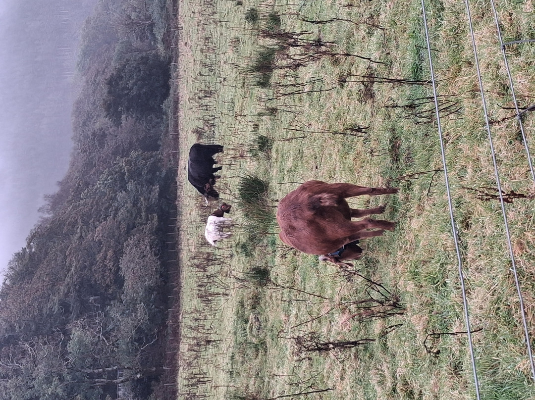 梅尔福特湖酒店主图