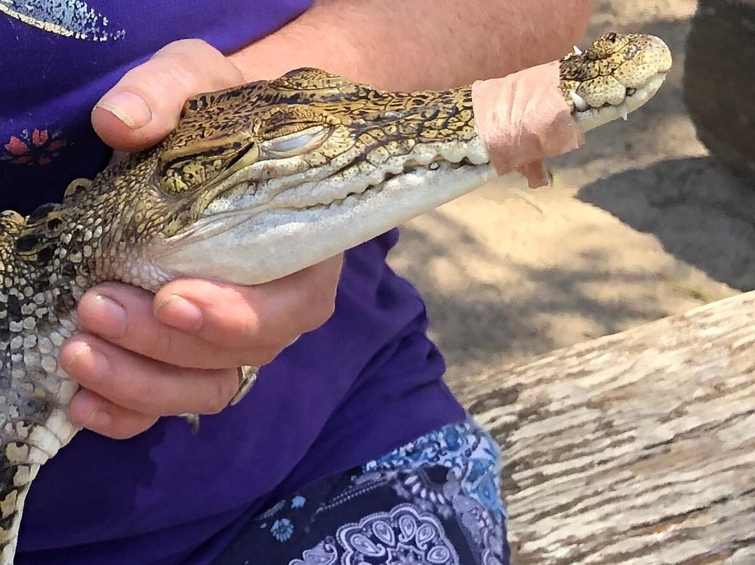 Koorana Crocodile Farm-Coowonga必去景点