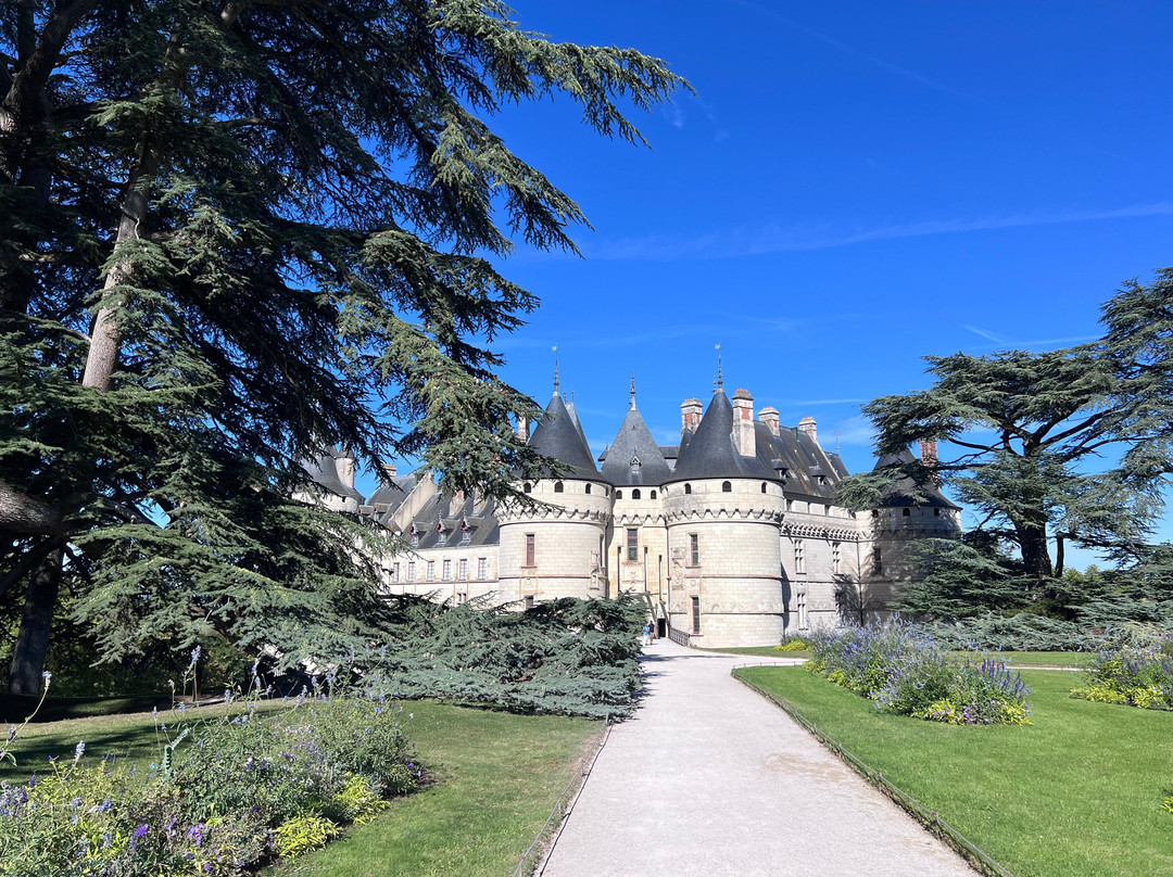Chateau De Chaumont Sur Loire