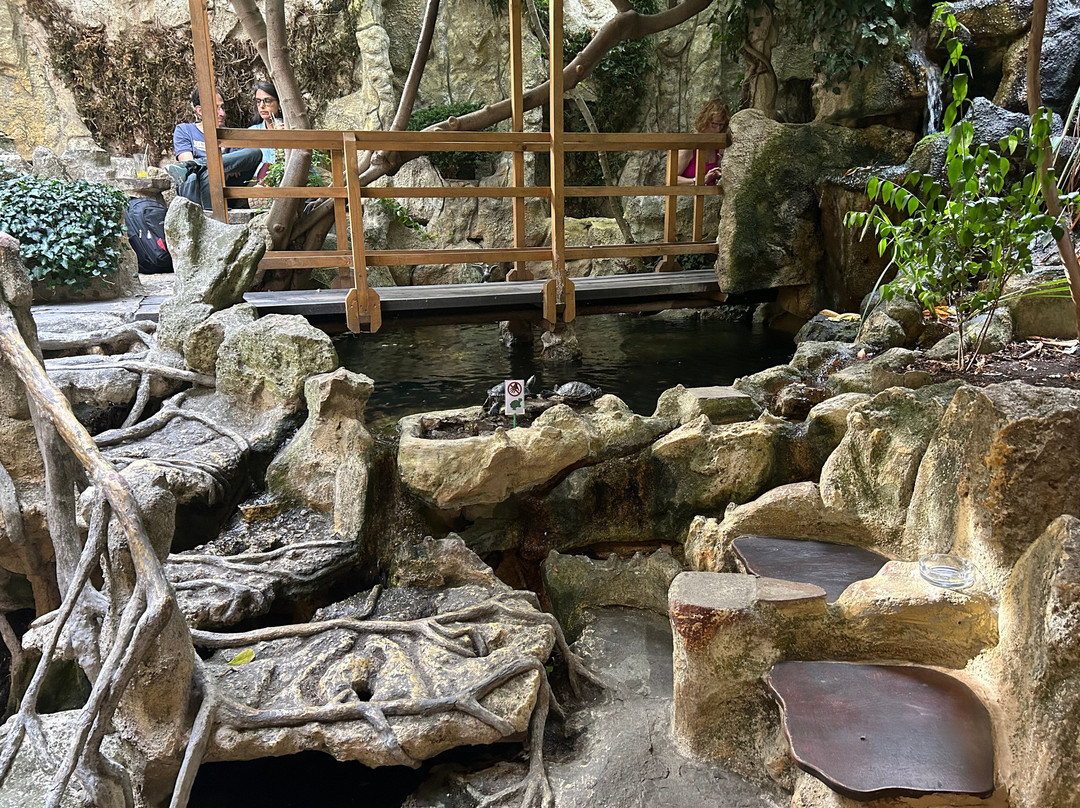 Michael's Eco Bar, Nessebar-内塞巴尔必去景点