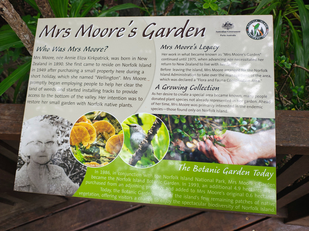 Norfolk Island National Park & Botanic Garden-诺福克岛必去景点
