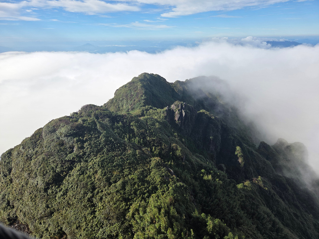Zonitrip - Day Tours-Yen Bai必去景点