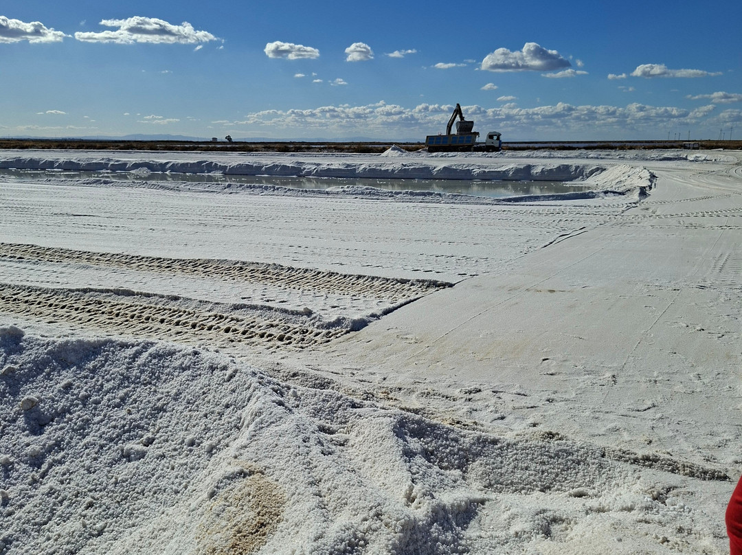 Riserva Naturale di Stato Saline di Margherita di Savoia-Margherita di Savoia必去景点
