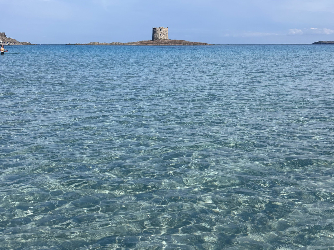 La Pelosa Beach-斯廷蒂诺必去景点