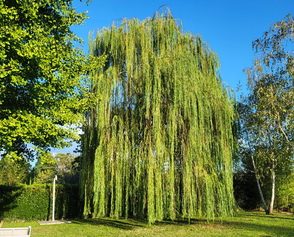 Azienda Agricola Roncus-Capriva del Friuli必去景点