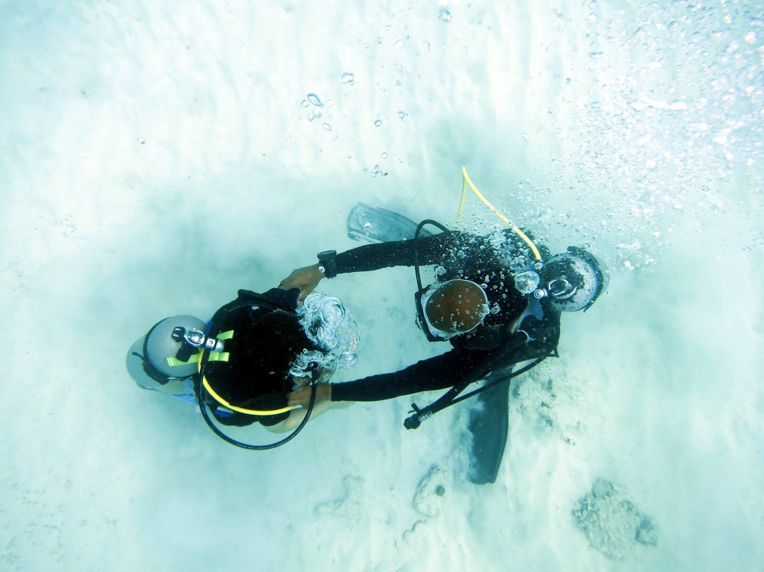 Seahorse Divers Barbados-奥伊斯廷斯必去景点