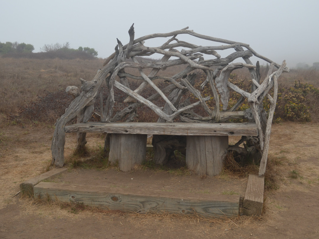 Fiscalini Ranch Preserve-坎布里亚必去景点