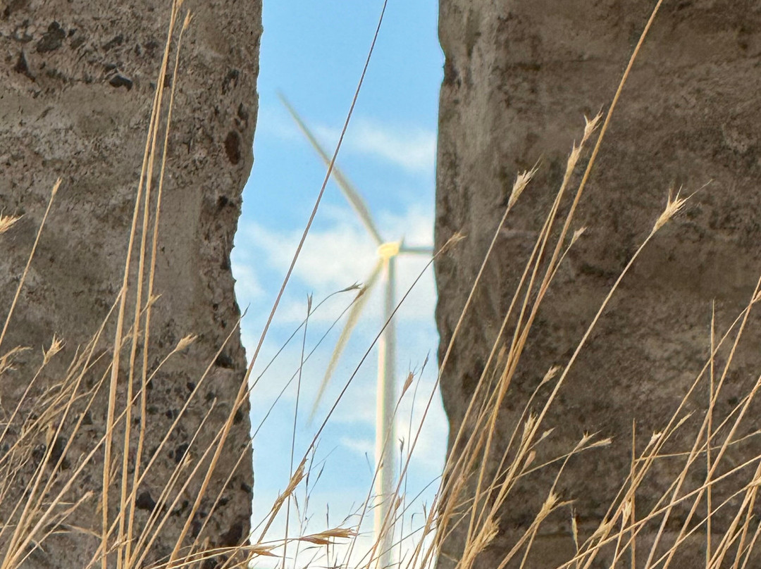 Stonehenge Memorial-Goldendale必去景点