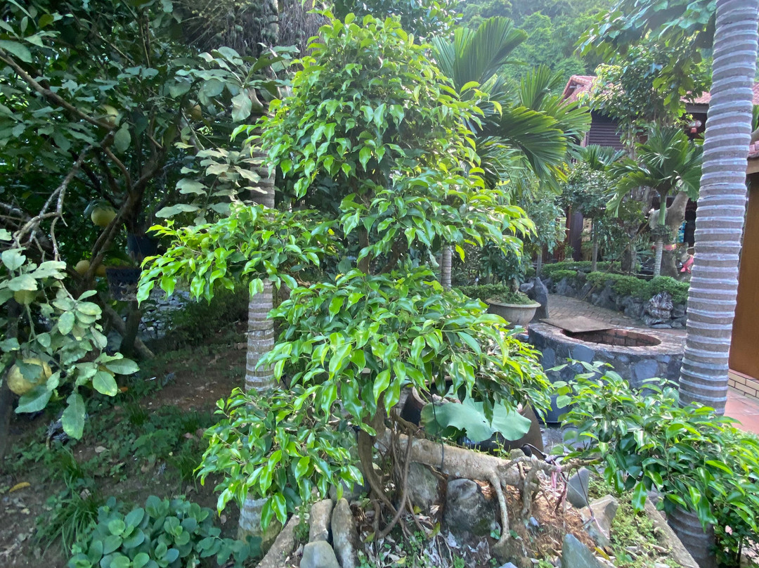 Lan Homestay主图