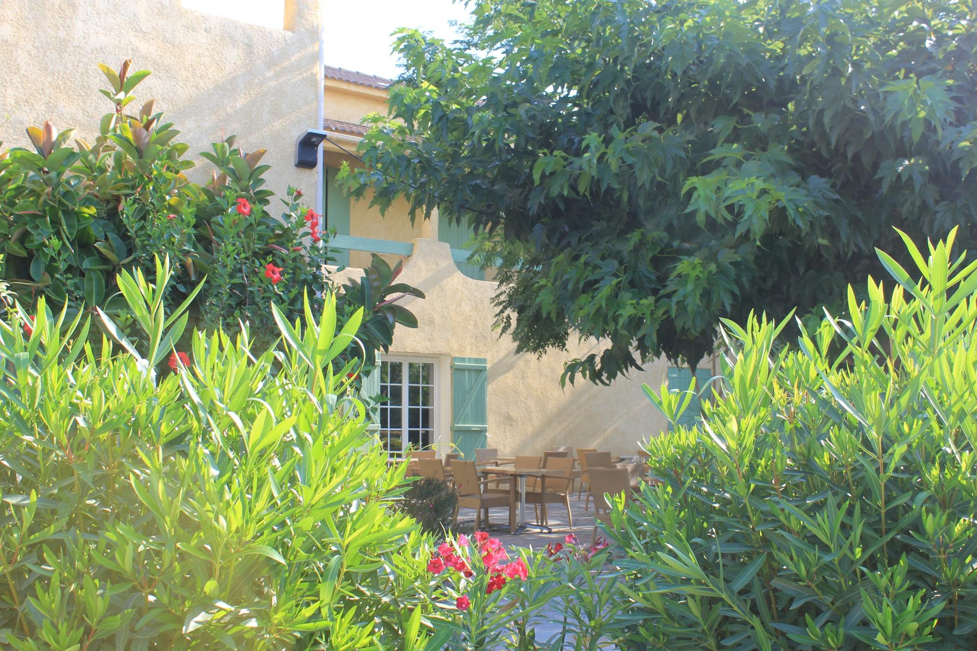 Auberge Les Oliviers-客卧