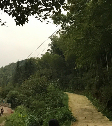 花园洞-桃江县必去景点