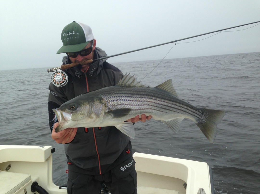Greasy Beaks Fly Fishing and Boston Fly Fishing-South Hamilton必去景点