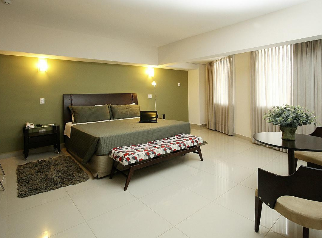 普雷图河畔圣若泽酒店住宿-Ipê Center Hotel