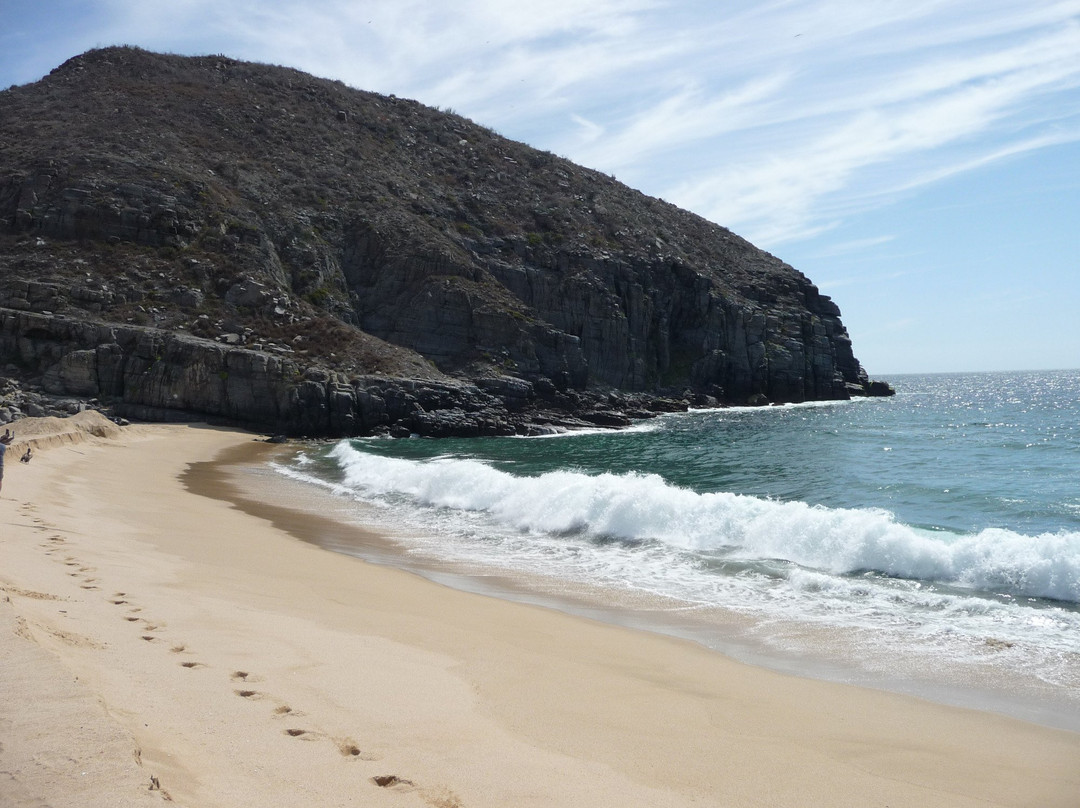 Punta Lobos景点图片
