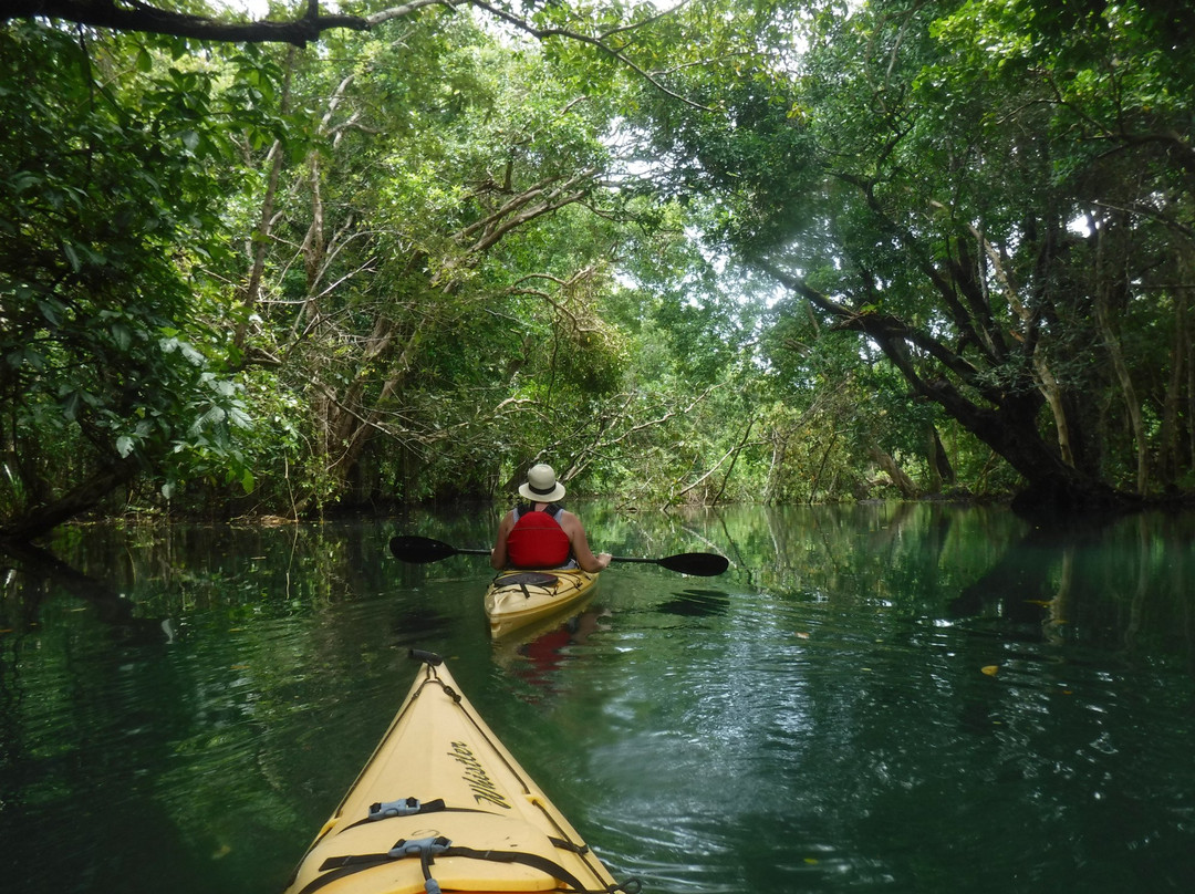 Island Time Kayaking Tours - Day Tours-卢甘维尔必去景点