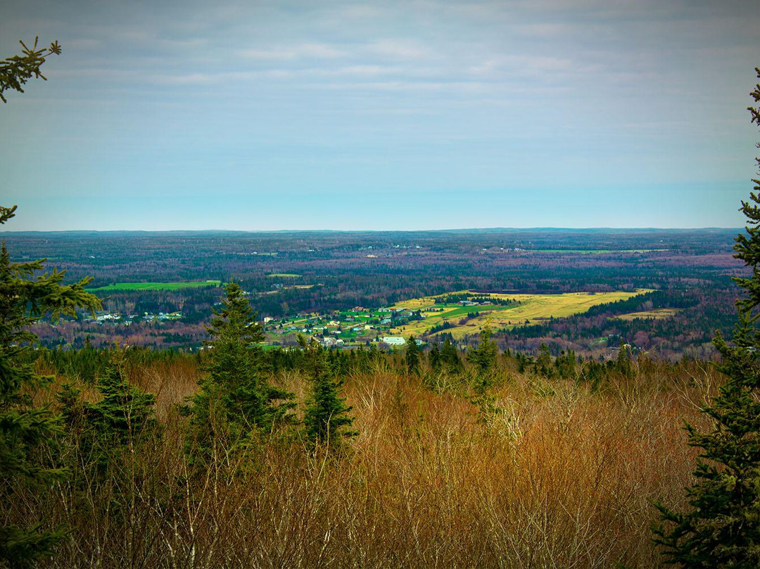 Coxheath Hills and Trails景点图片