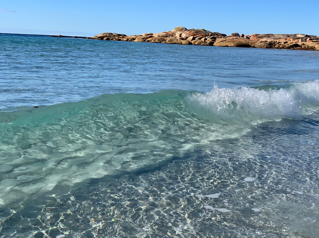 Redbill Beach景点图片